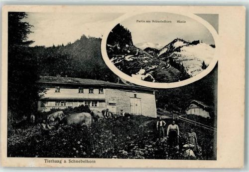 Steg im Tösstal 1913 Tierhag am Schnebelhorn Säntis