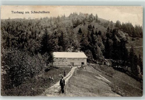 Steg im Tösstal 1916 Tierhag am Schnebelhorn Säntis