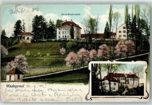 Wädenswil 1904 - wäde Obst u. Weinbauschule