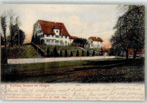 Horgen 1907 Kurhaus Bocken