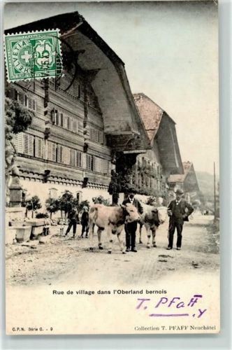 Erlenbach im Simmental 1905 Rue de village bernois Rindvieh Ort handschriftlich