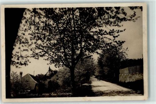 Leubringen Allee des Cerisiers Kirschallee