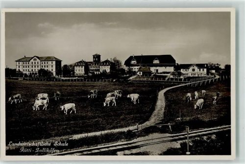 Rütti Landwirtschaftliche Schule Rindvieh Bahnlinie
