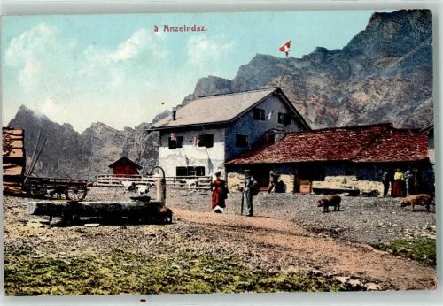 Bex 1910 Augeindaz Schwein