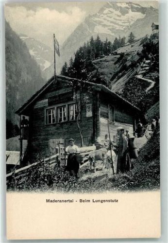 Maderanertal Beim Lungenstutz Kühe