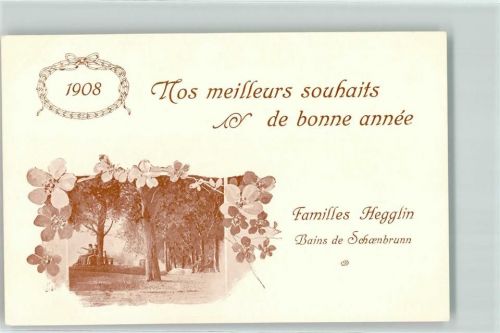 Zug Bains de Schoenbrunn Neujahr Familie Hegglin 1908