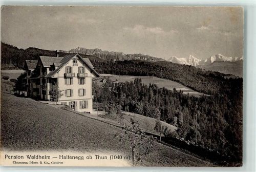 Haltenegg Pension Waldheim 1040 m