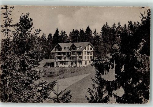 Haltenegg Pension Waldheim