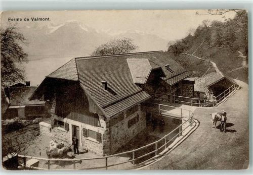 Glion Ferme de Valmont Kühe