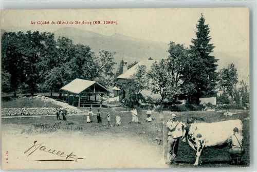 Baulmes 1899 Le Chalet Kuh melken
