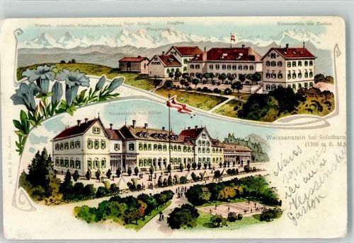 Weissenstein b. Solothurn 1908 Jungfrau Wengernalp Eiger Mönch Fahne Tennis Sportplatz Blumen Lithographie