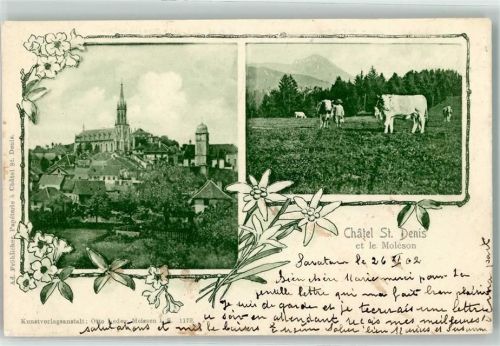 Châtel-St-Denis 1902 et le Moleson Kühe