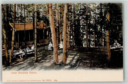 Fideris Unter Almeinle