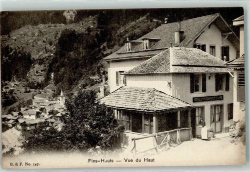 Finhaut Vue du Haut Hotel Pension Mont Blanc