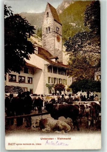 Unterseen Viehmarkt Kühe