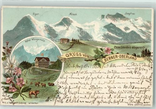 Wilderswil Hotel Wengernalp
