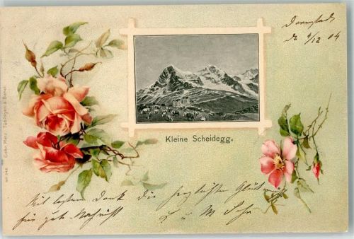 Lauterbrunnen 1904 Kleine Scheidegg Kühe