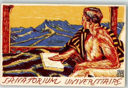 sign Bille Edm. Sanatorium Universitaire Buch lesen