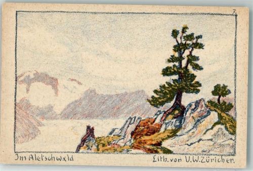 Riederalp sign. Züricher, V.W. Aletschwald