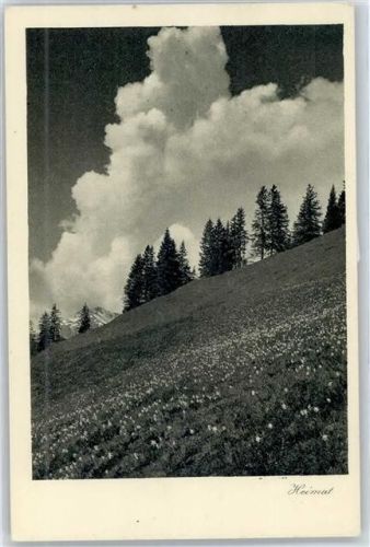 Schiers