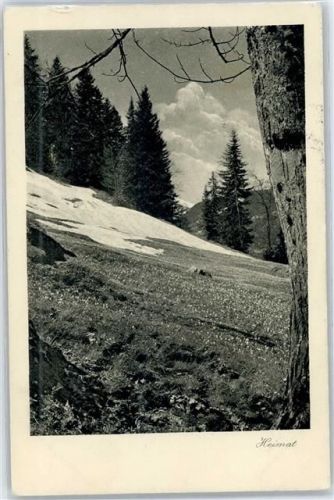 Schiers