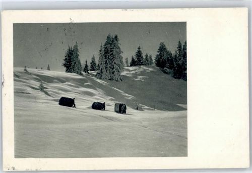 Schiers