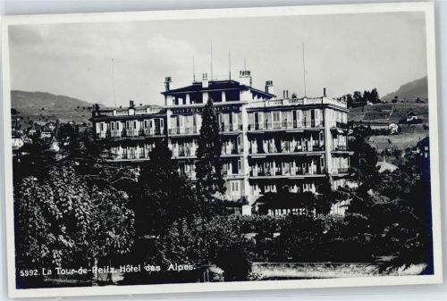 La Tour-de-Peilz Hotel des Alpes AKU2