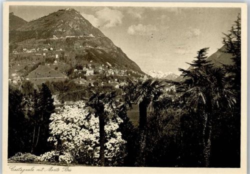 6906 Castagnola-Cassarate - Palmen, Monte Brie AKU2