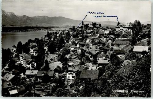 3653 Oberhofen am Thunersee Foto AK