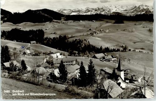 Goldiwil Blick auf Blümlisalpgruppe