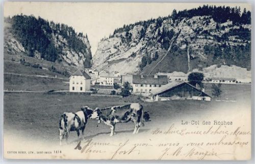 Le Locle Col des Roches, Kuh