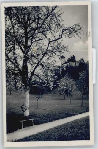 4144 Arlesheim - Schloß Birseck