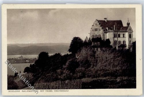 8268 Mannenbach-Salenstein - Schloss Salenstein, Insel Reichenau