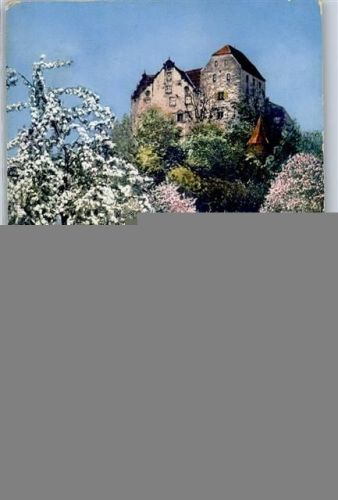 Wildegg Schloss Wildegg