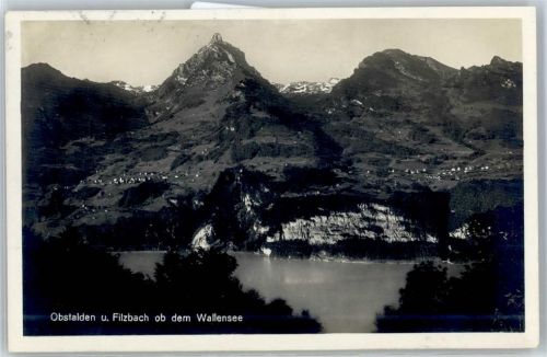 Obstalden Wallensee