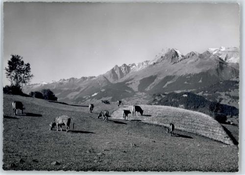 Obersaxen Breigelser Hörner