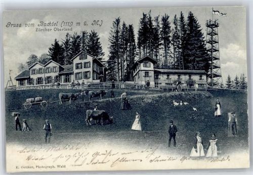 Bachtel 1904, Aussichtsturm, Ochsenkarren, Kühe