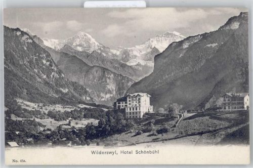 Wilderswil Hotel Schönbühl