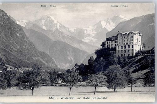 Wilderswil Hotel Schönbühle Mönch Jungfrau