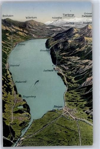 Brienz BE aus d. Vogelperspektive