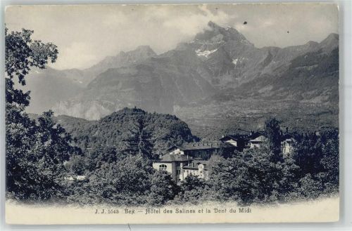 Bex Hotel des Sanlines