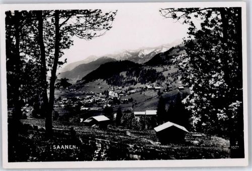 Saanen