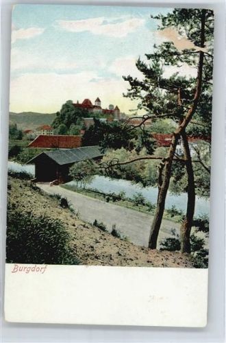 Burgdorf Panorama