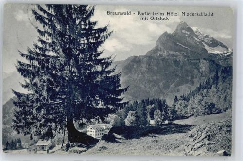 Braunwald Hotel Niederschlacht, Ortstock