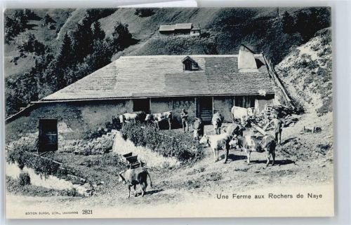 Rochers de Naye Une Ferme