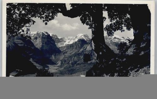 Braunwald