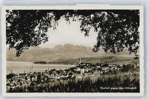 Thalwil Panorama