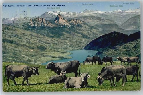 6410 Rigi Kulm - Kuh, Lowerzersee, Mythen, Glärnisch
