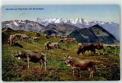6410 Rigi Kulm - Berneralpen