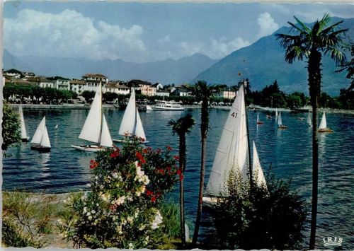 Ascona Segelregatta auf dem Lago